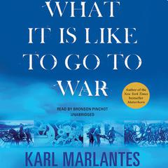 What It Is Like to Go to War Audiobook, by Karl Marlantes