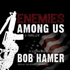 Enemies among Us: A Thriller Audiobook, by Bob Hamer