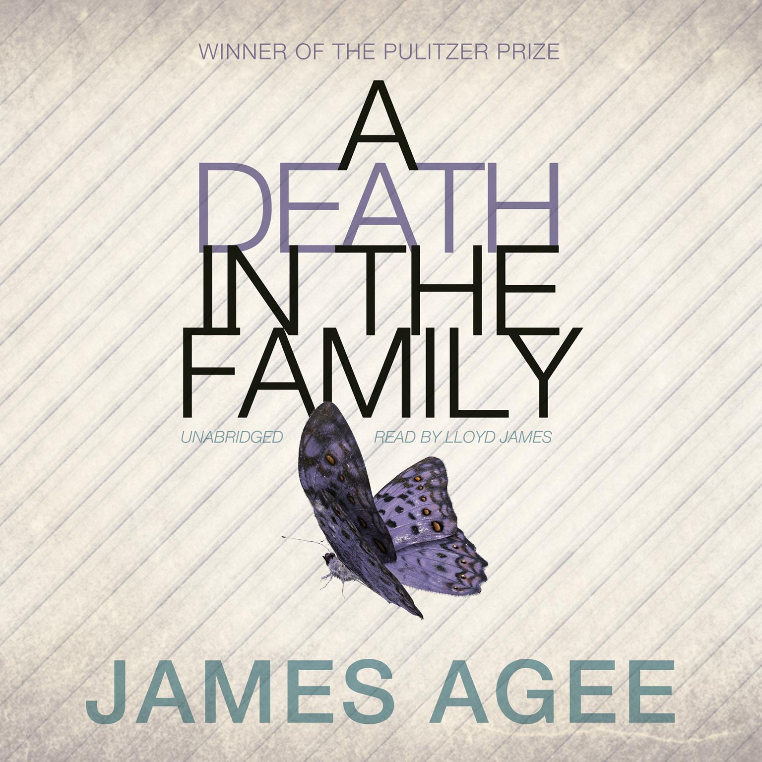A Death in the Family Audiobook, by James Agee