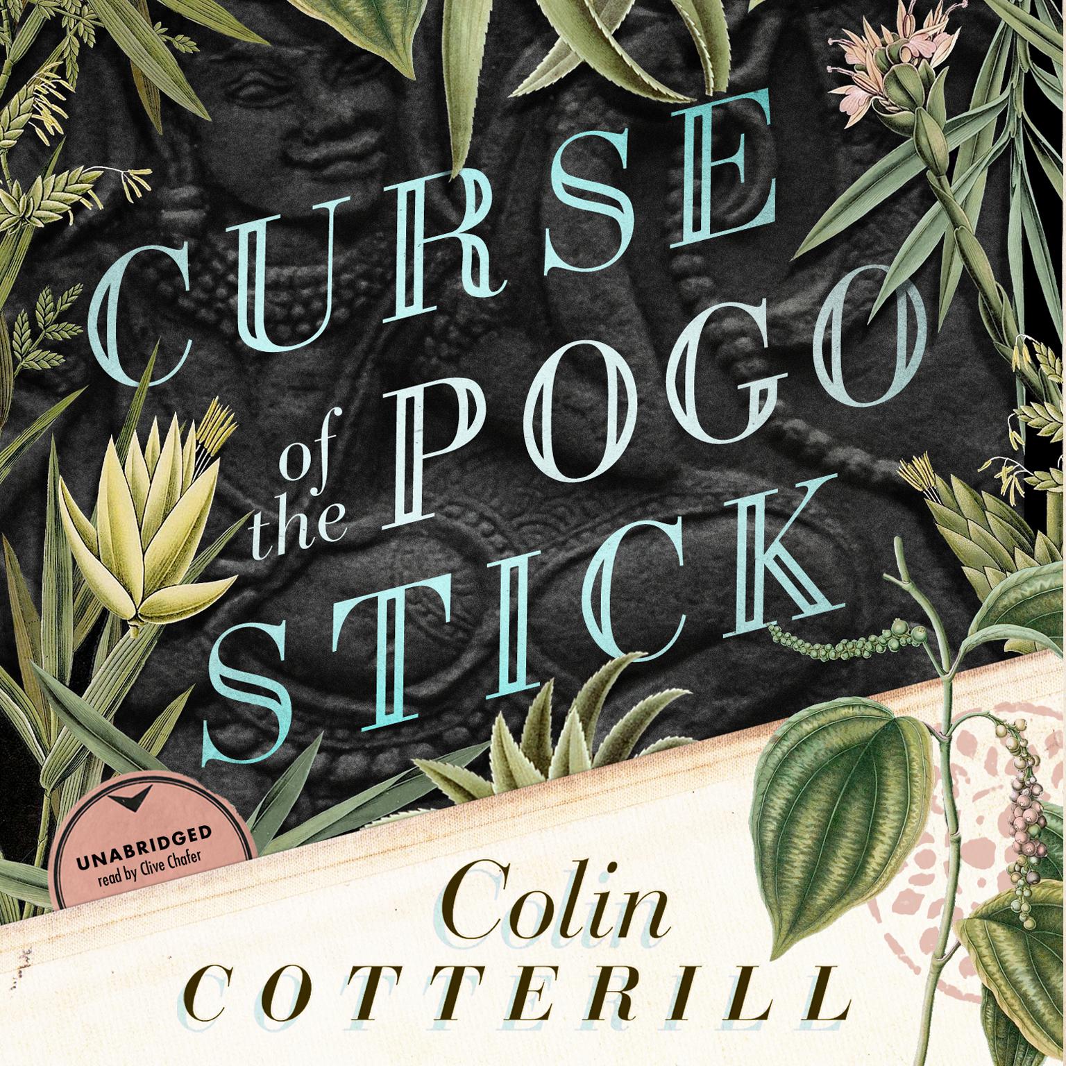 Curse of the Pogo Stick Audiobook, by Colin Cotterill