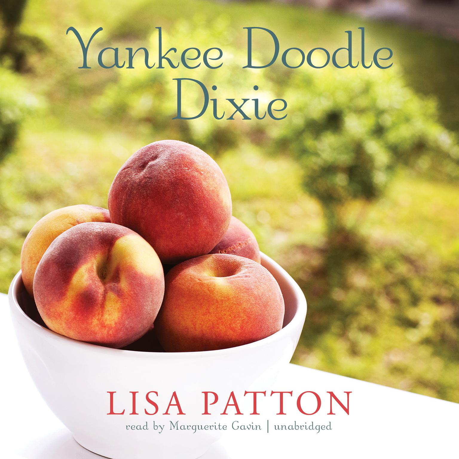 Yankee Doodle Dixie Audiobook, by Lisa Patton