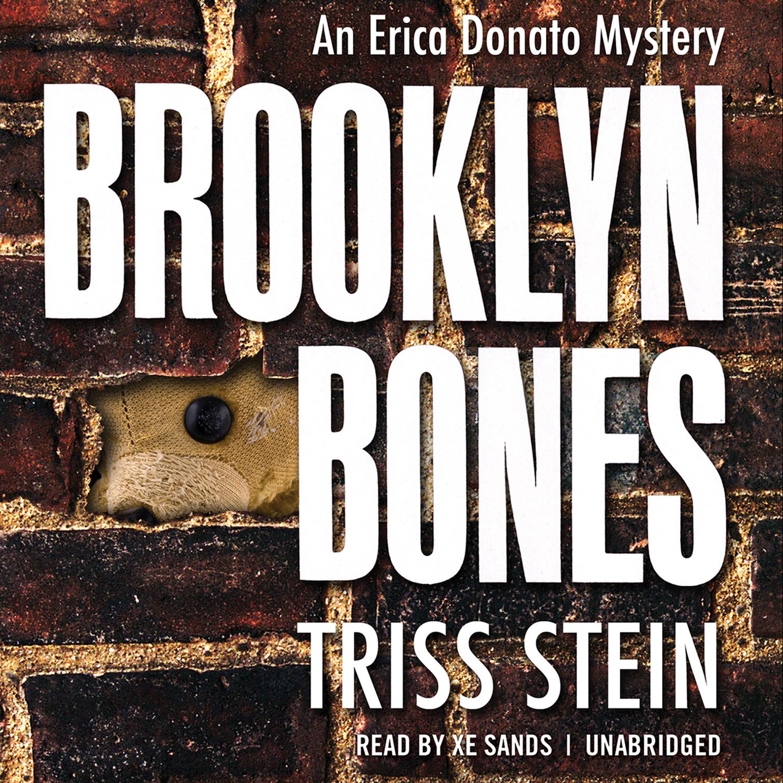 Brooklyn Bones Audiobook, by Triss Stein