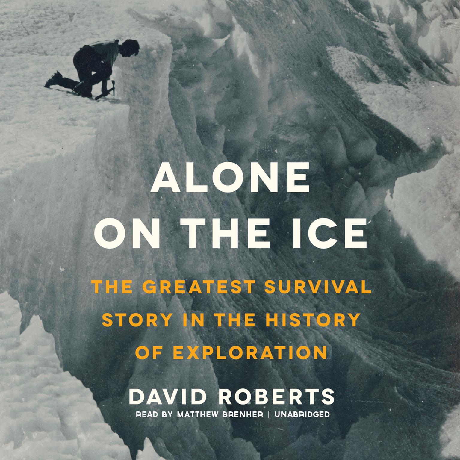 Alone on the Ice: The Greatest Survival Story in the History of Exploration Audiobook, by David Roberts