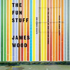 The Fun Stuff: And Other Essays Audiobook, by James Wood