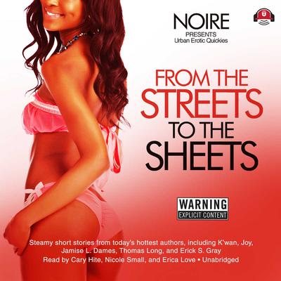 From the Streets to the Sheets: Urban Erotic Quickies Audiobook, by Noire 
