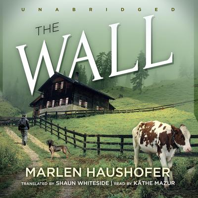 The Wall Audiobook, by 