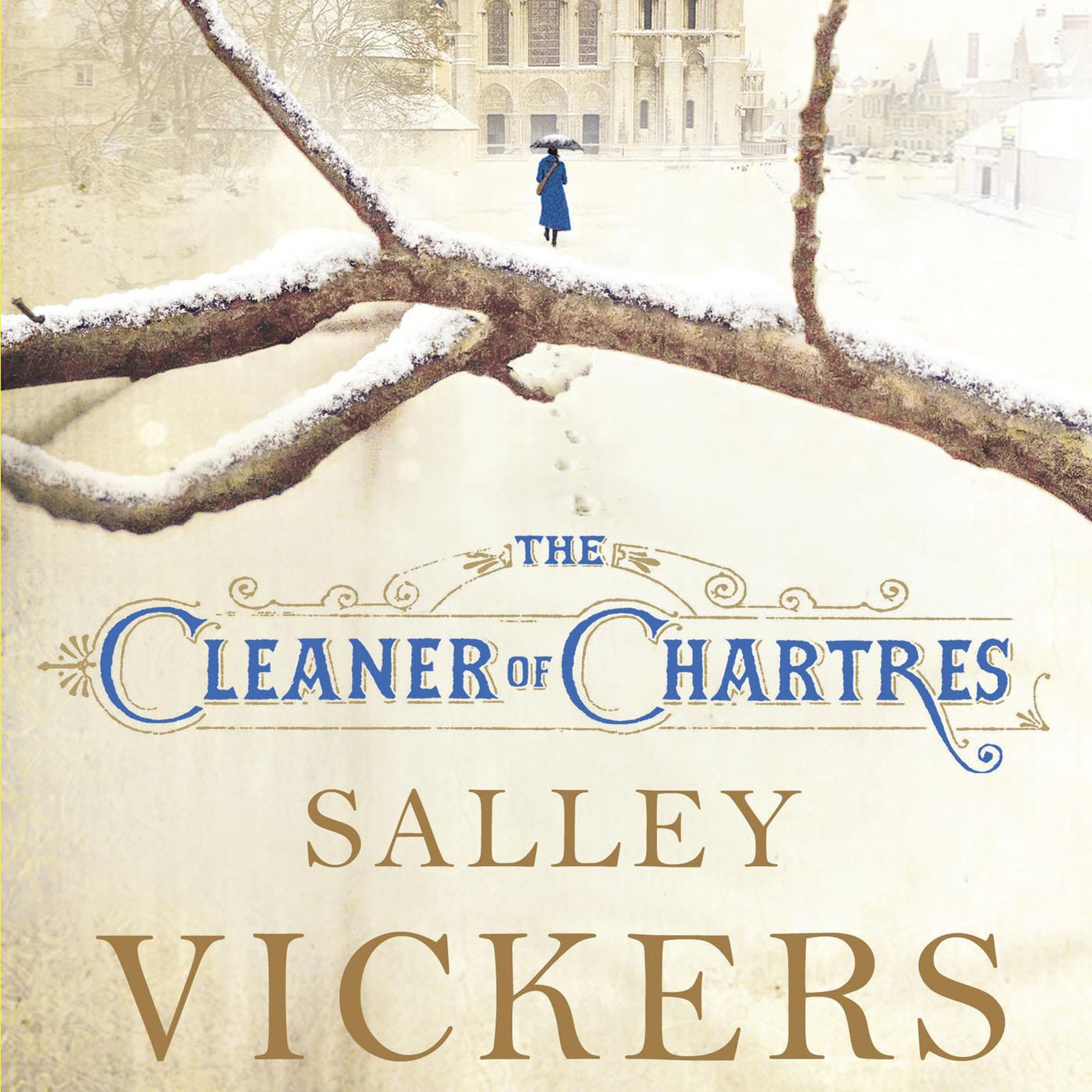 The Cleaner of Chartres Audiobook, by Salley Vickers
