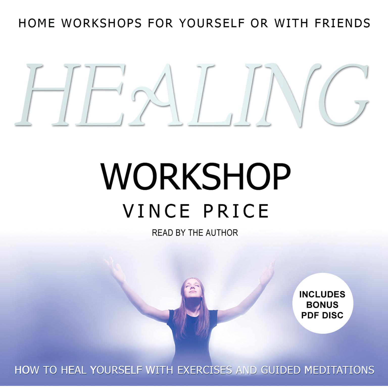 Healing Workshop Audiobook, by Vince Price