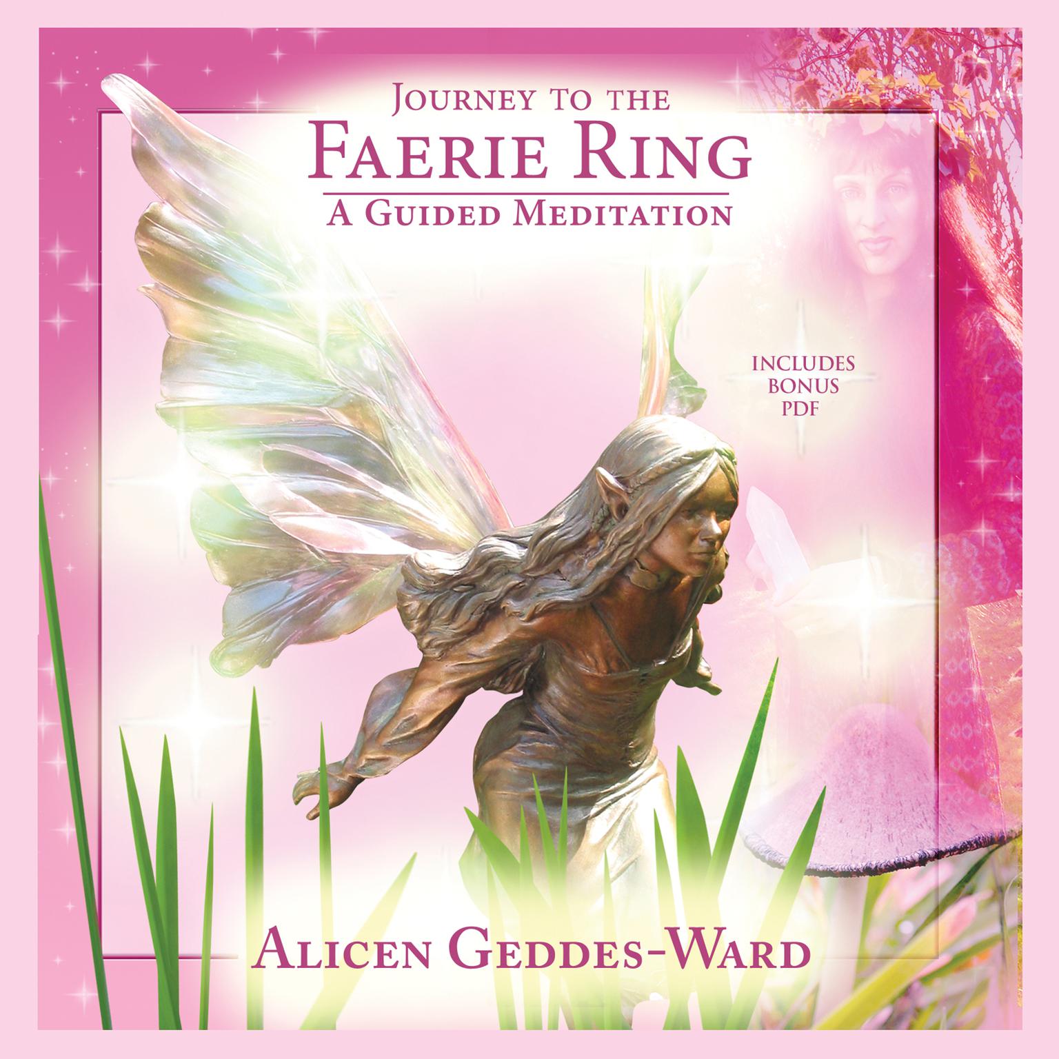 Journey to the Faerie Ring Audiobook, by Alicen Geddes-Ward