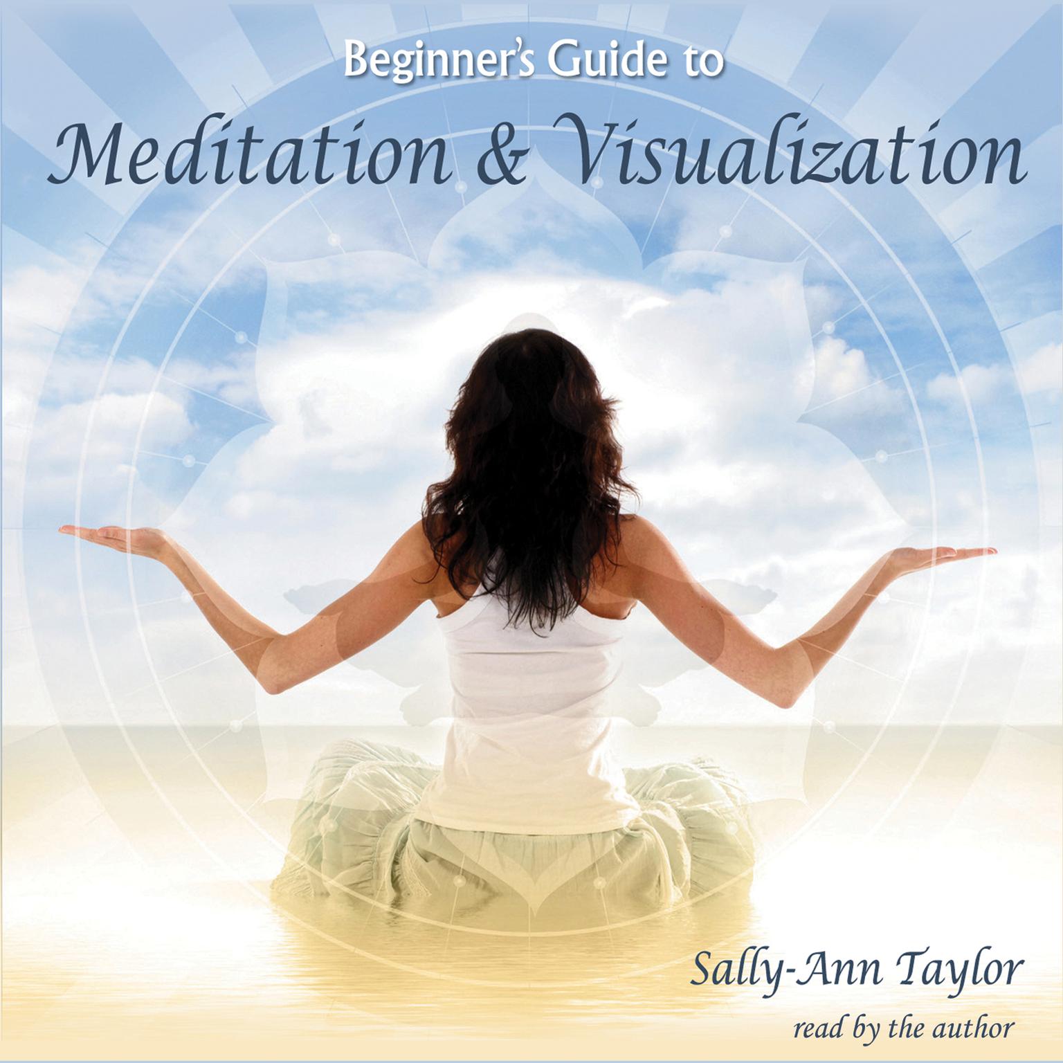 Beginner’s Guide to Meditation & Visualization Audiobook, by Sally-Ann Taylor