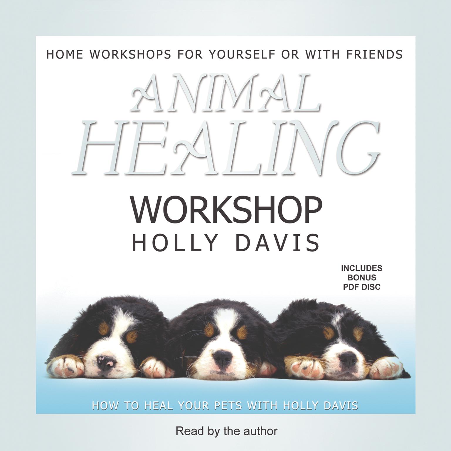 Animal Healing Workshop Audiobook, by Holly Davis