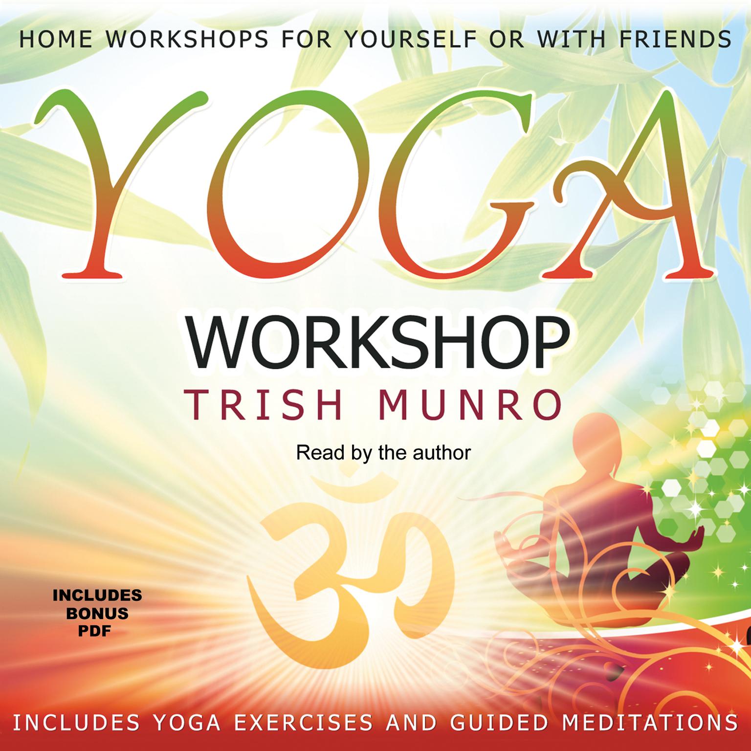 Yoga Workshop Audiobook, by Trish Munro