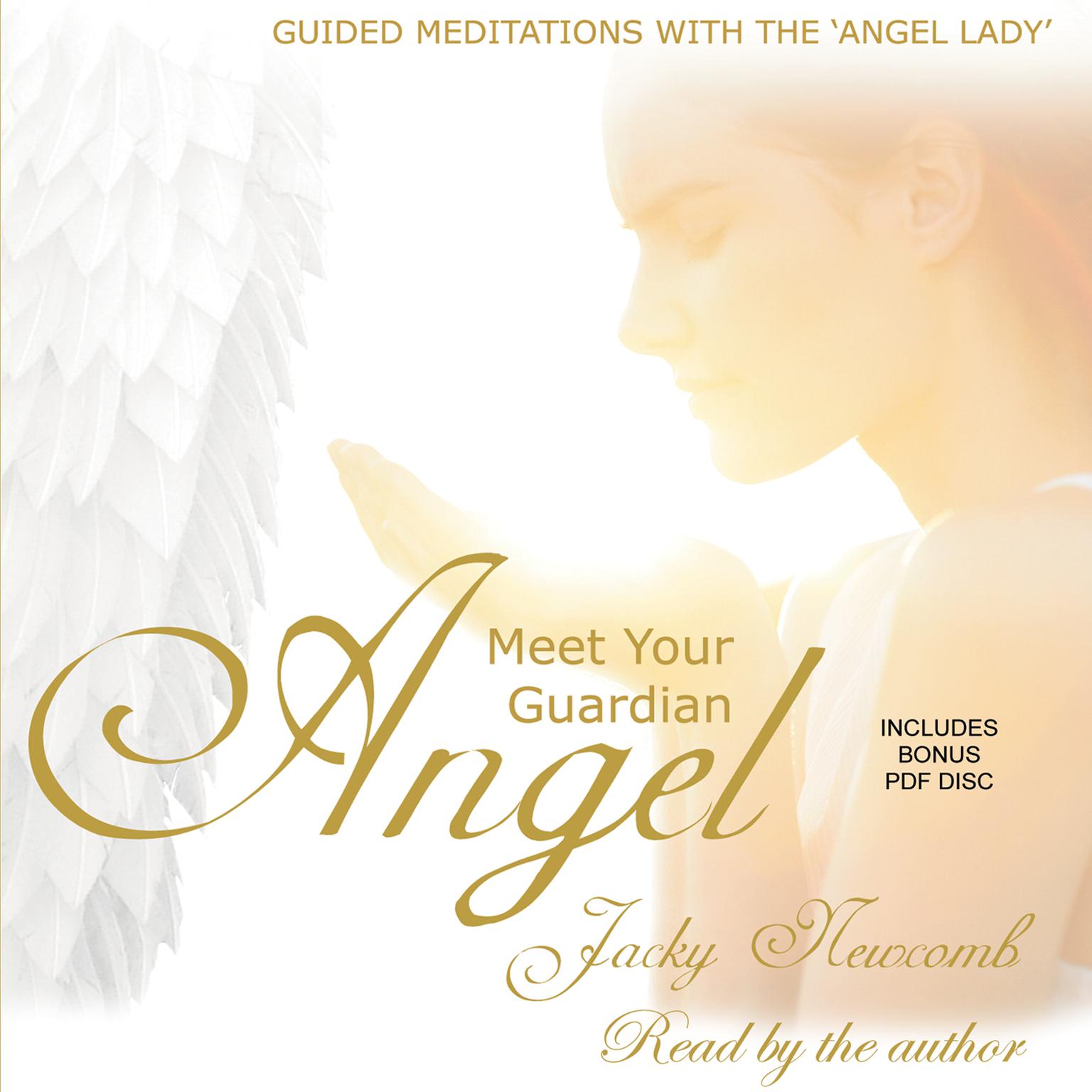 Meet Your Guardian Angel Audiobook, by Jacky Newcomb