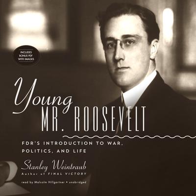 Young Mr. Roosevelt: FDR’s Introduction to War, Politics, and Life Audiobook, by Stanley Weintraub