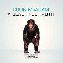 A Beautiful Truth Audiobook, by Colin McAdam