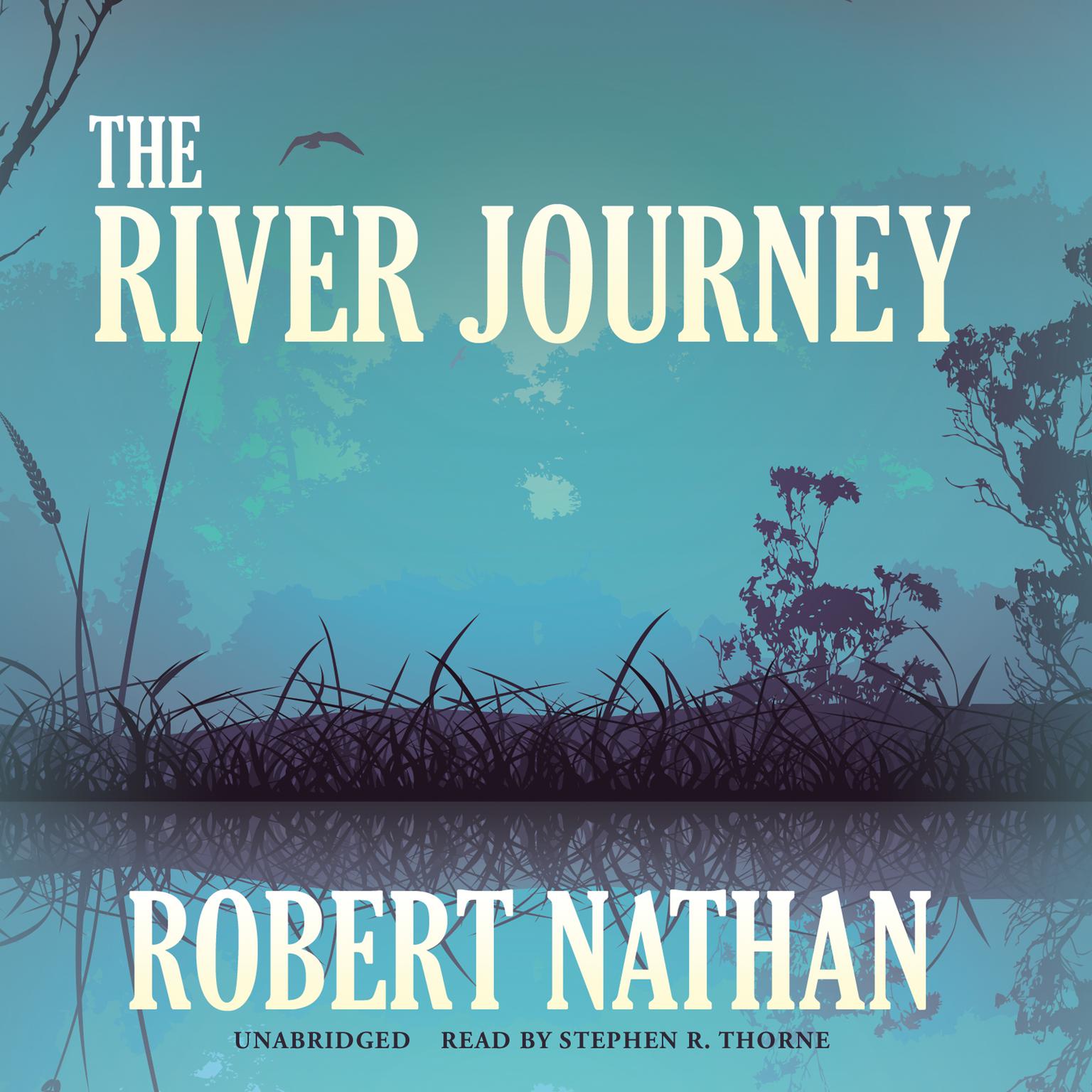 The River Journey Audiobook, by Robert Nathan