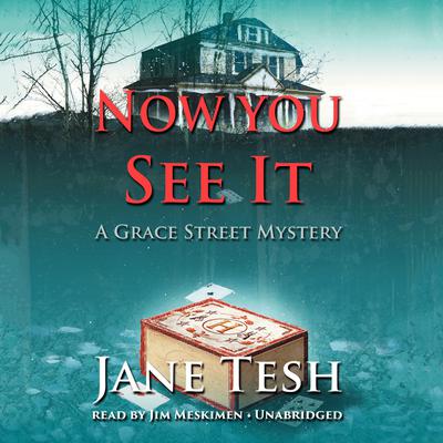 Now You See It: A Grace Street Mystery Audiobook, by Jane Tesh