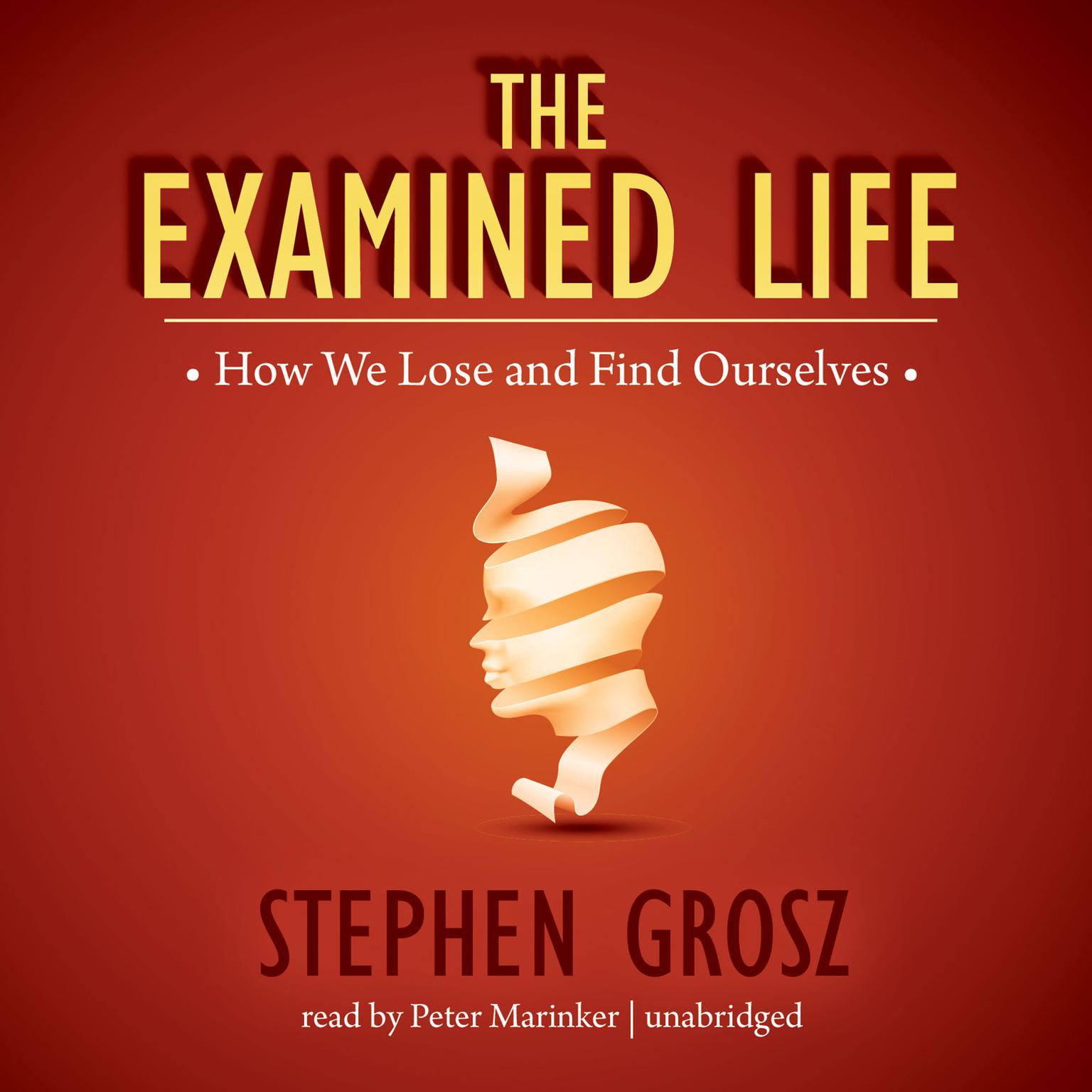 The Examined Life: How We Lose and Find Ourselves Audiobook, by Stephen Grosz