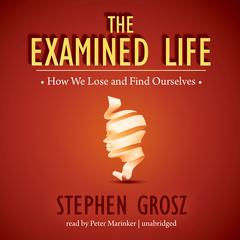 The Examined Life: How We Lose and Find Ourselves Audiobook, by Stephen Grosz