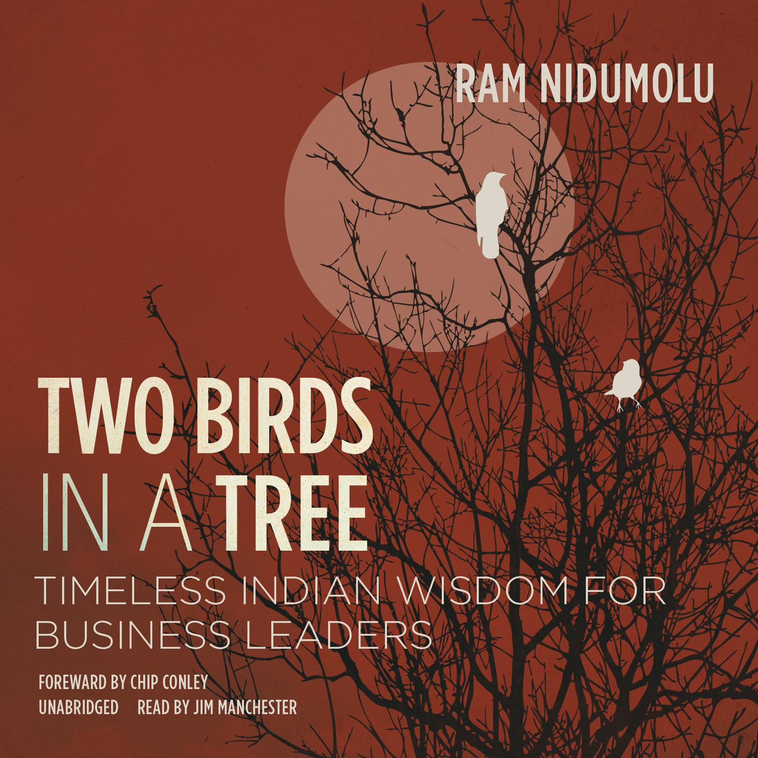 Two Birds in a Tree: Timeless Indian Wisdom for Business Leaders Audiobook, by Ram Nidumolu