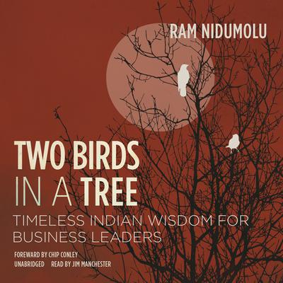 Two Birds in a Tree: Timeless Indian Wisdom for Business Leaders Audiobook, by Ram Nidumolu