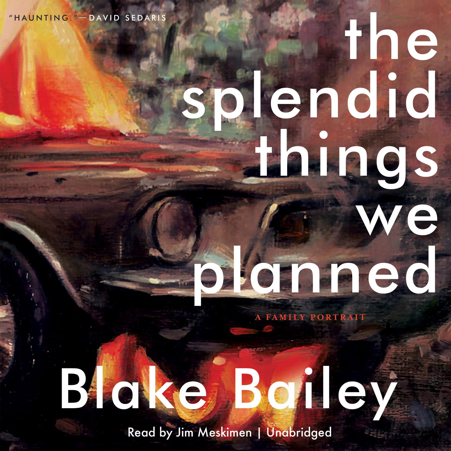 The Splendid Things We Planned: A Family Portrait Audiobook, by Blake Bailey