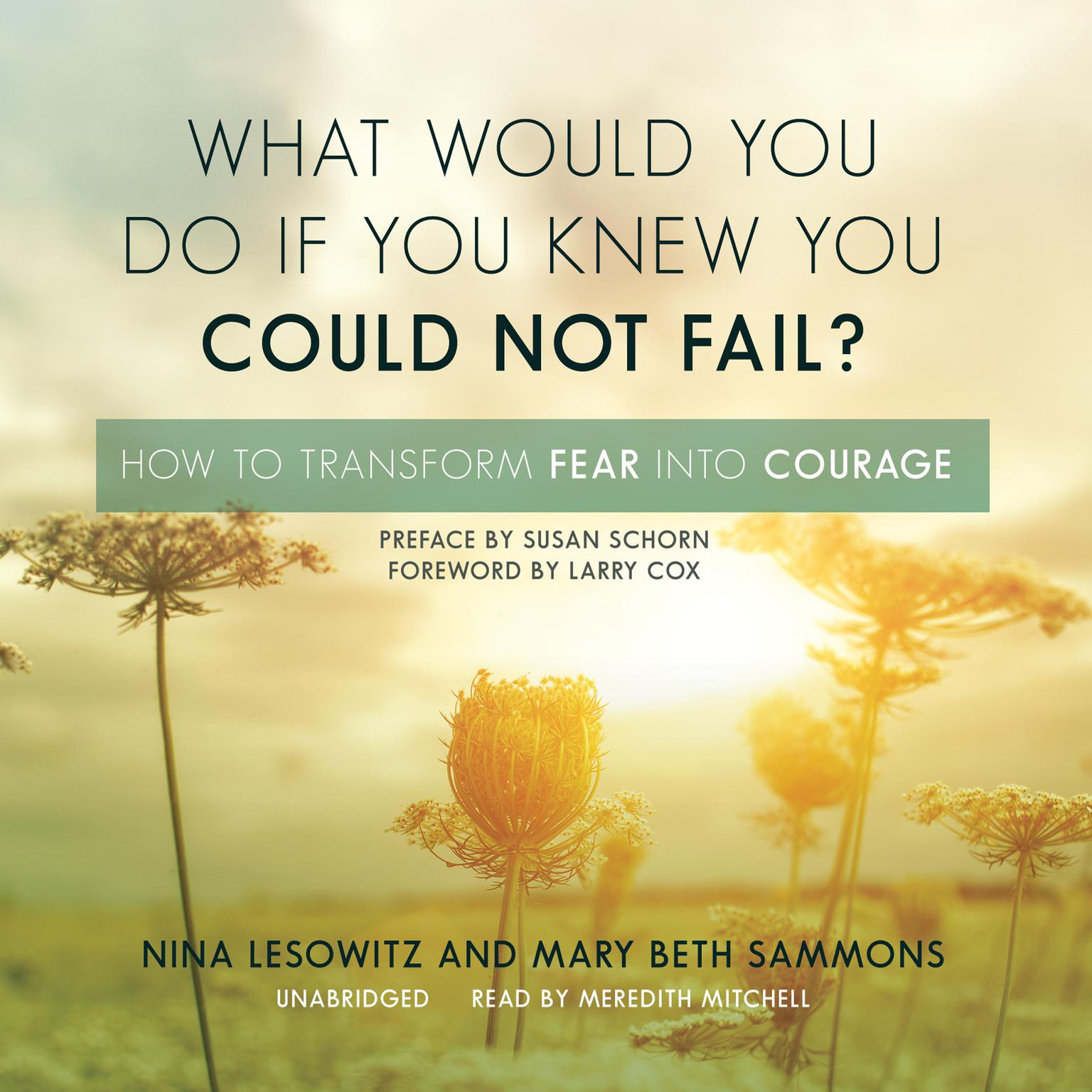 What Would You Do If You Knew You Could Not Fail?: How to Transform Fear into Courage Audiobook, by Nina Lesowitz