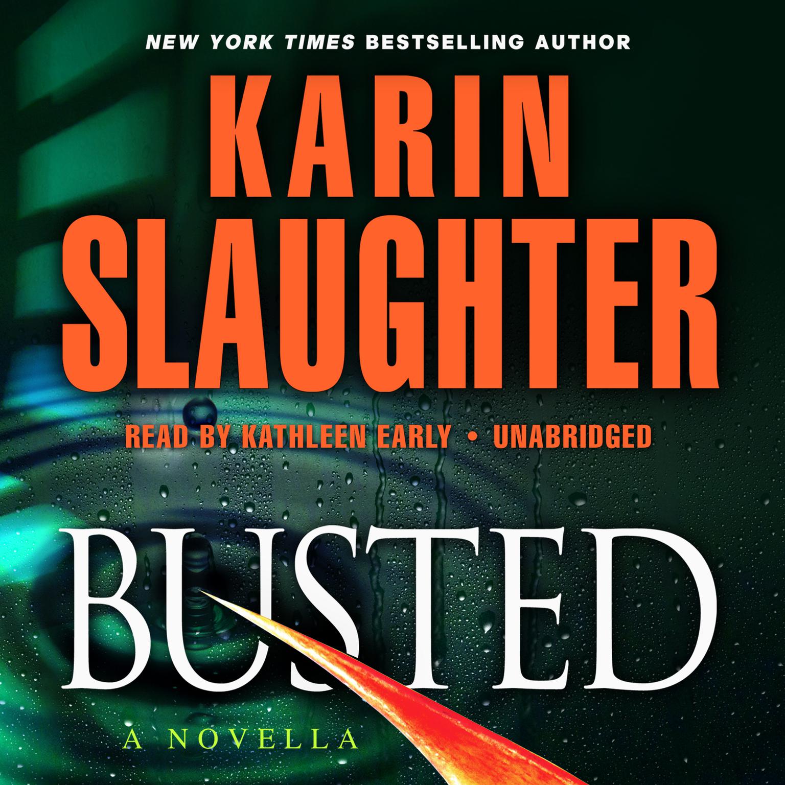 Busted: A Novella Audiobook, by Karin Slaughter