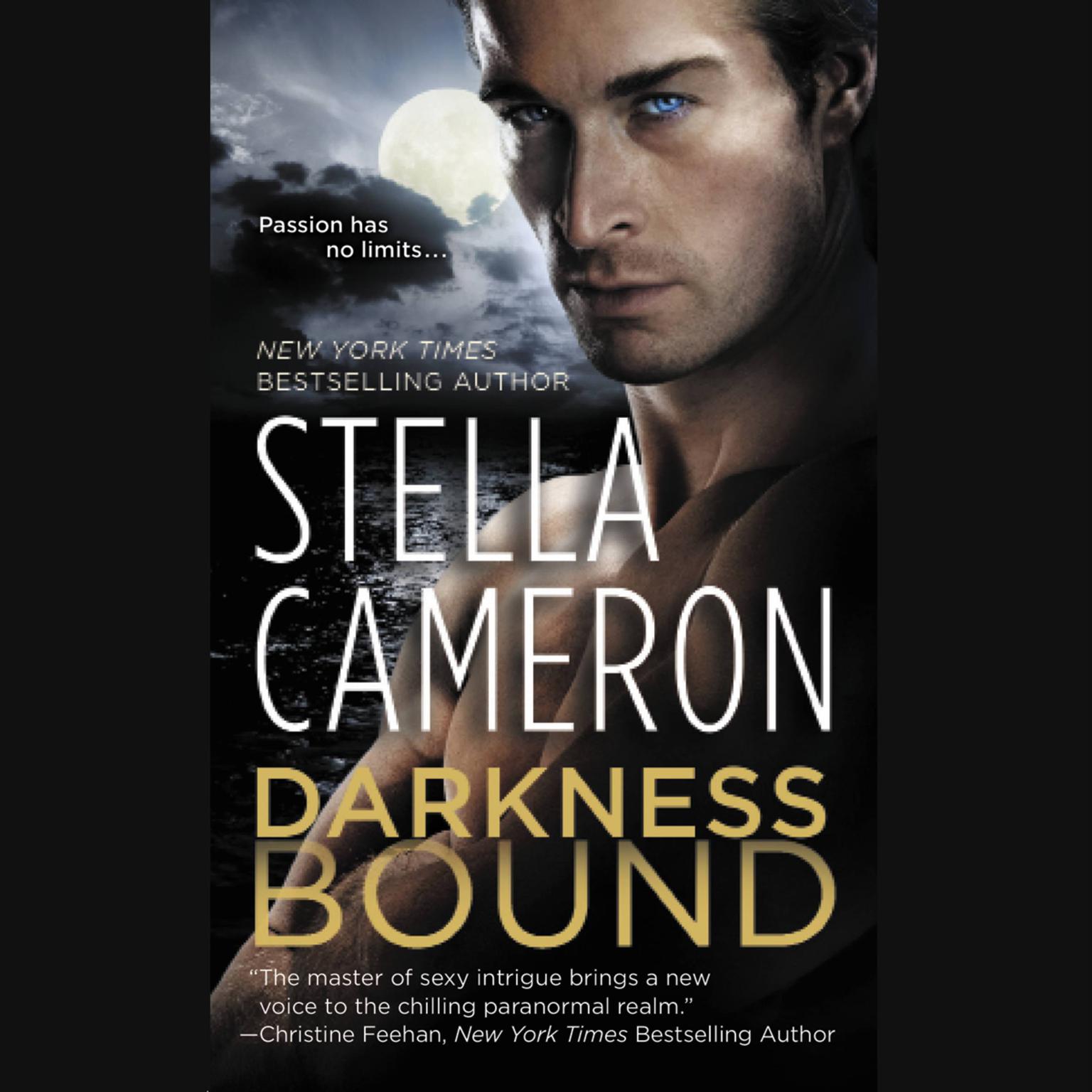 Darkness Bound Audiobook, by Stella Cameron