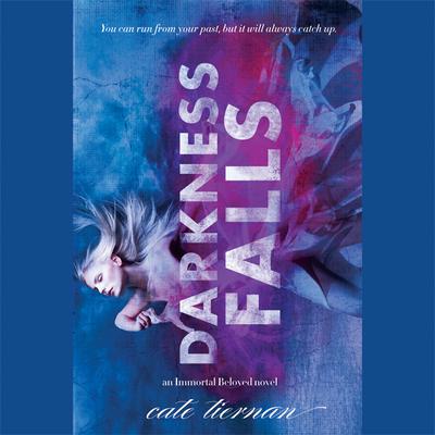 Darkness Falls Audiobook, by Cate Tiernan