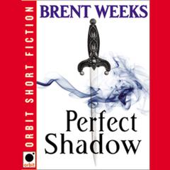 Perfect Shadow: A Night Angel Novella Audiobook, by Brent Weeks