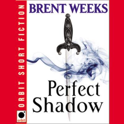 Perfect Shadow: A Night Angel Novella Audiobook, by 