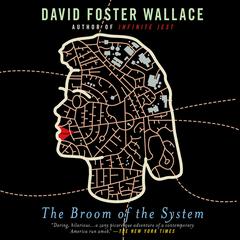 The Broom of the System: A Novel Audiobook, by David Foster Wallace