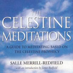 Celestine Meditations: A Guide to Meditation Based on the Celestine Prophecy Audiobook, by 