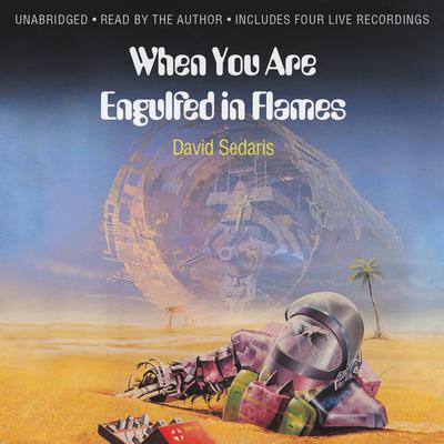 When You Are Engulfed in Flames Audiobook, by 