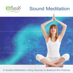 The Eflexx Sound Meditation Audiobook, by Mike Angulo