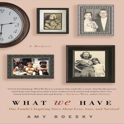 What We Have: A Memoir Audiobook, by Amy Boesky