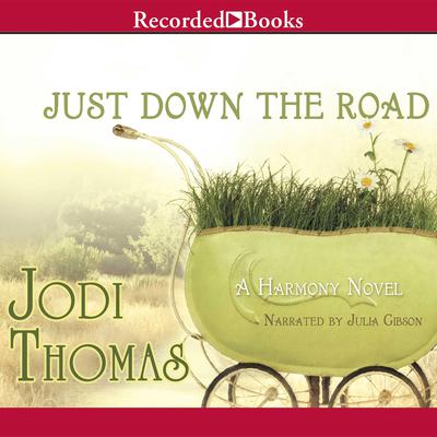 Just Down the Road Audiobook, by 