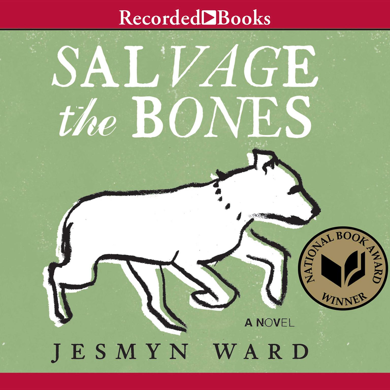 Salvage the Bones Audiobook, by Jesmyn Ward