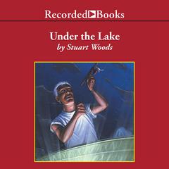 Under the Lake Audiobook, by 