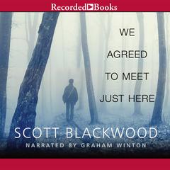 We Agreed to Meet Just Here Audiobook, by Scott Blackwood