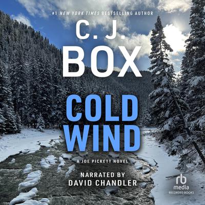Cold Wind Audiobook, by C. J. Box