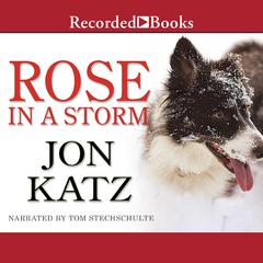 Rose in a Storm: A Novel Audiobook, by Jon Katz