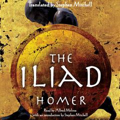 The Iliad Audiobook, by 