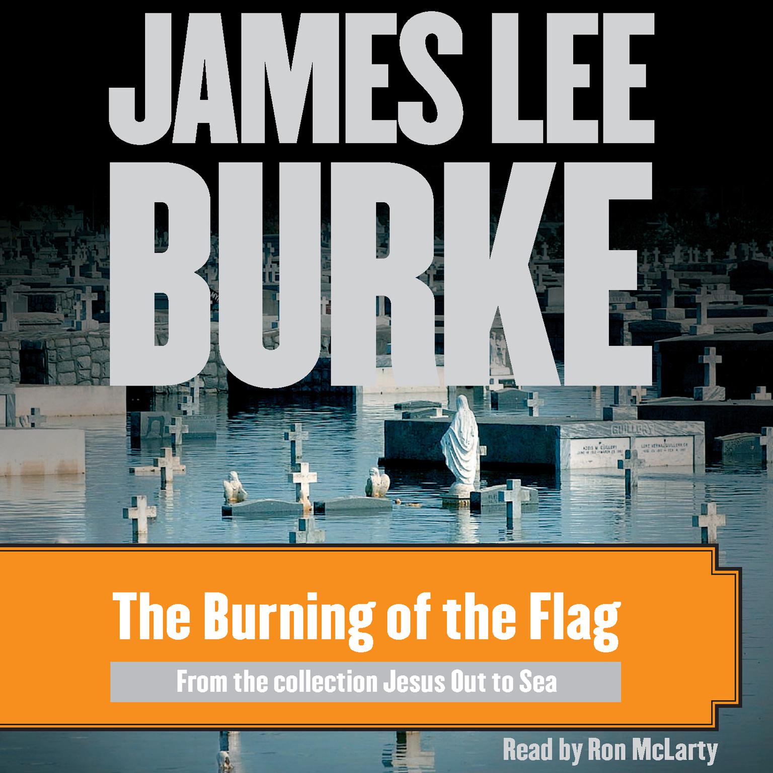 The Burning of the Flag Audiobook, by James Lee Burke