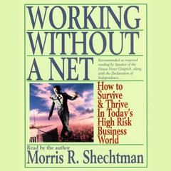 Working without a Net: How to Survive and Thrive in Todays High Risk Business World Audiobook, by Morris R. Shechtman