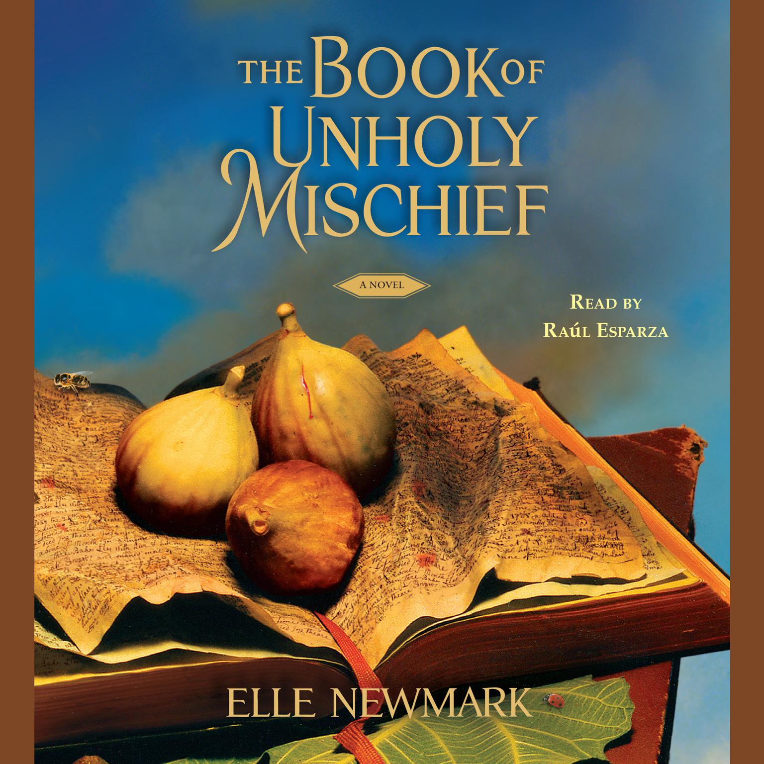 The Book of Unholy Mischief (Abridged): A Novel Audiobook, by Elle Newmark
