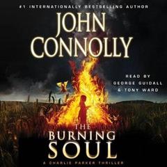 Burning Soul: A Thriller Audiobook, by 