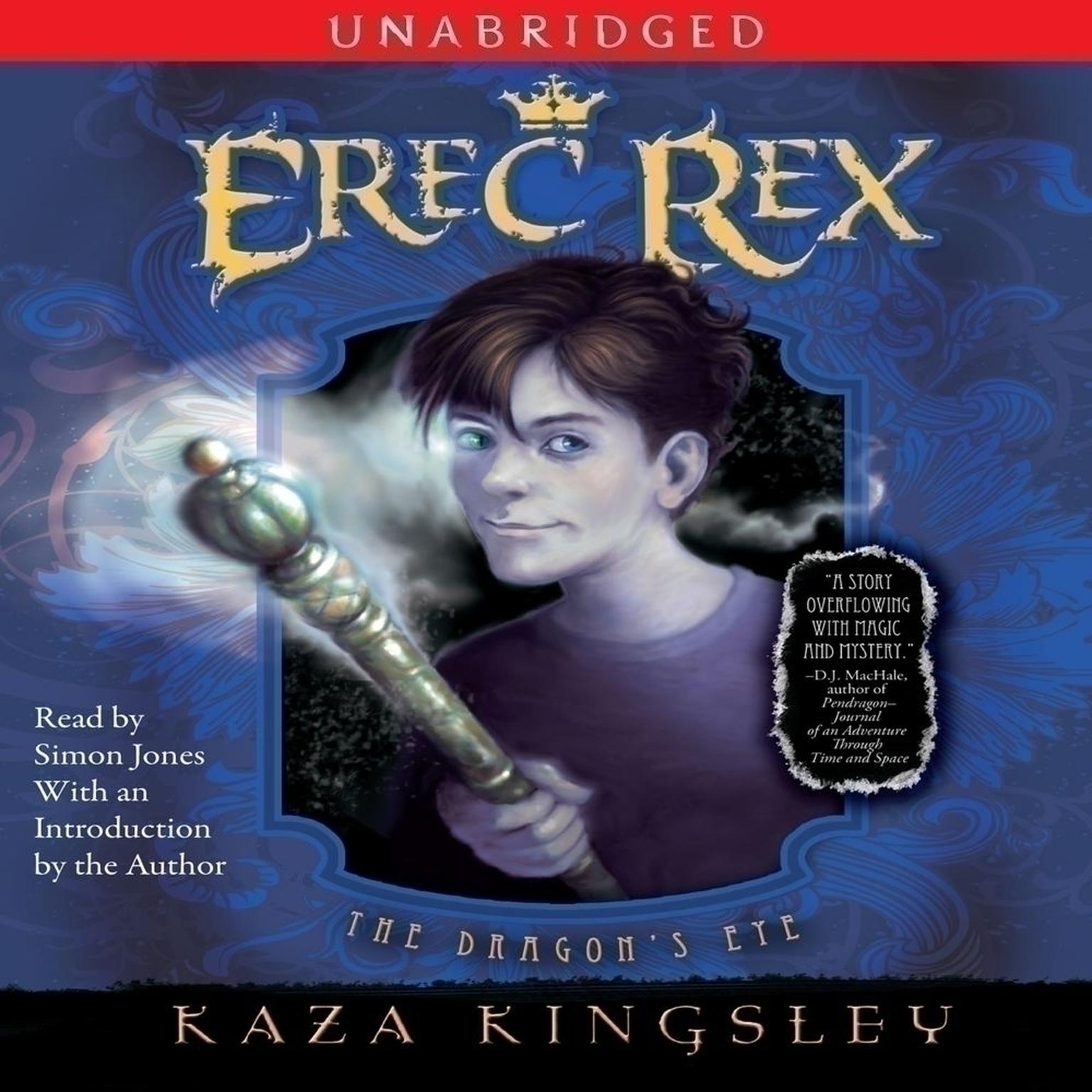 The Dragons Eye Audiobook, by Kaza Kingsley