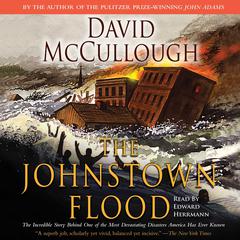 The Johnstown Flood Audiobook, by David McCullough